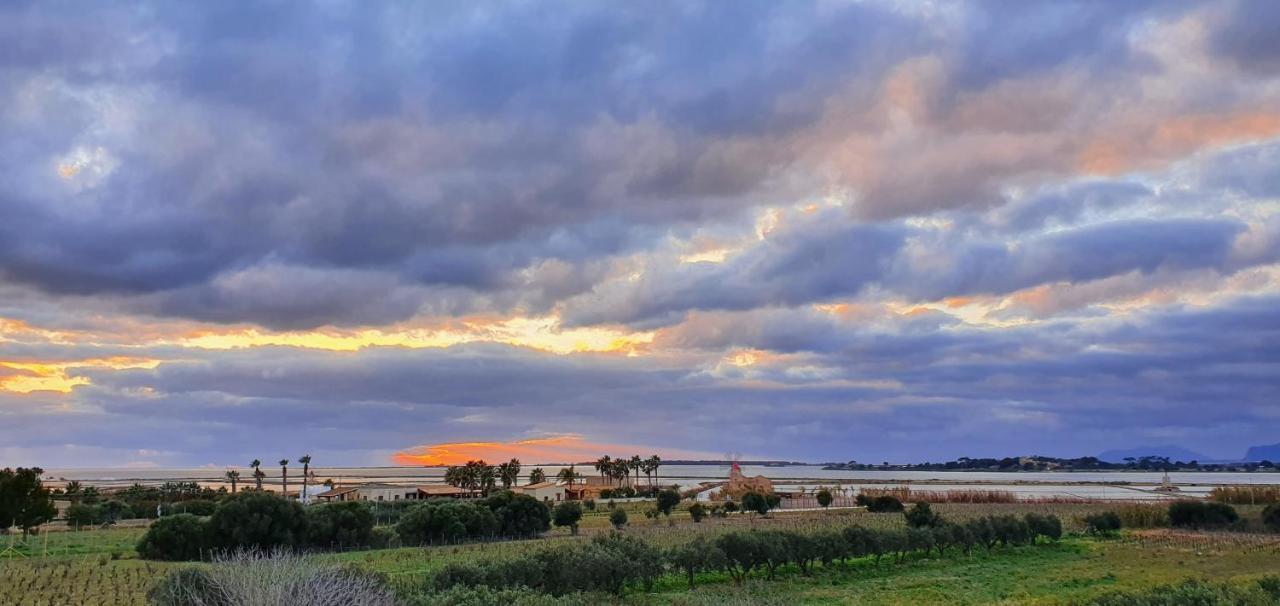 Martina's Vineyard - *