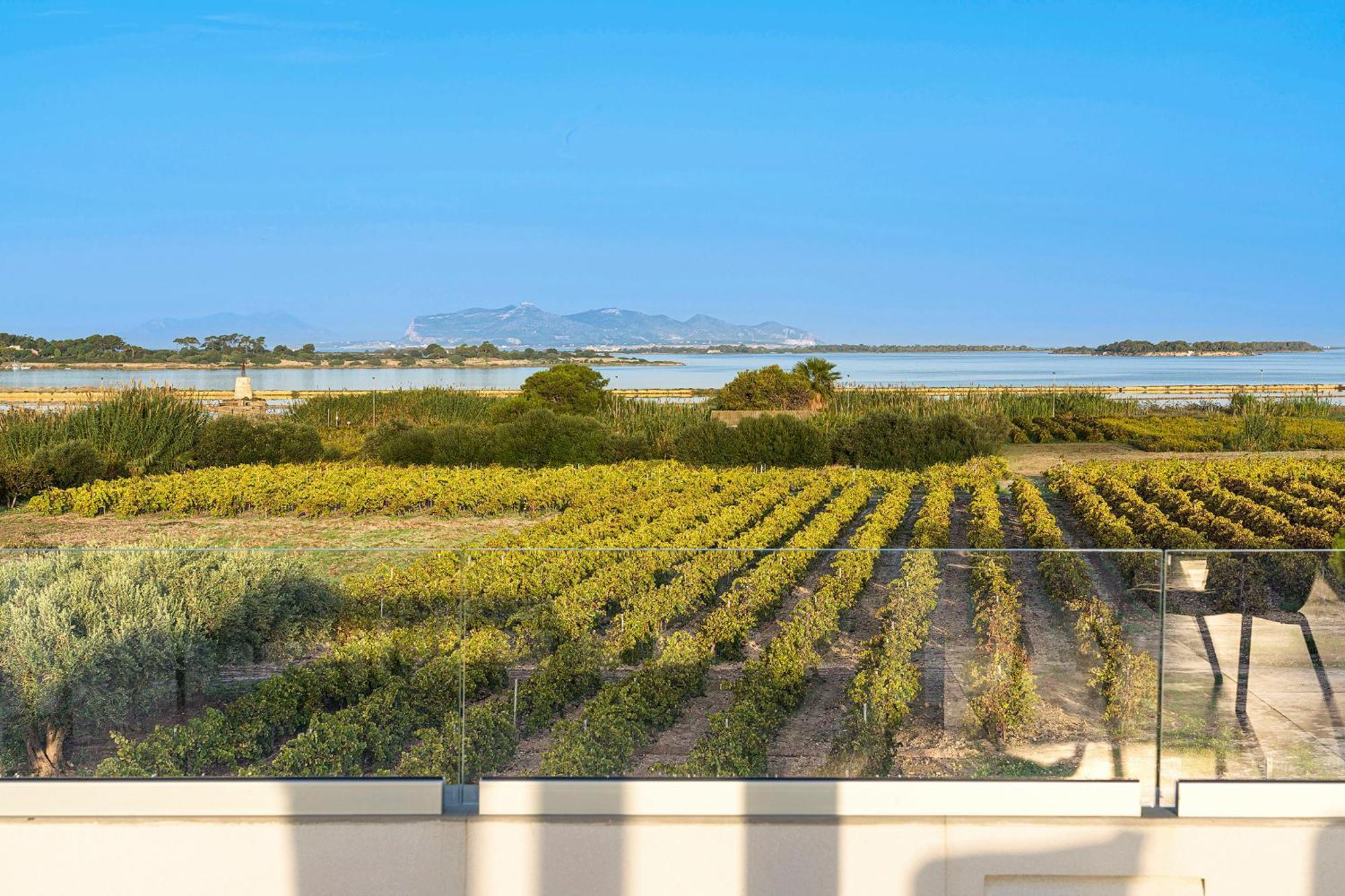 Martina's Vineyard - Villa Marsala
