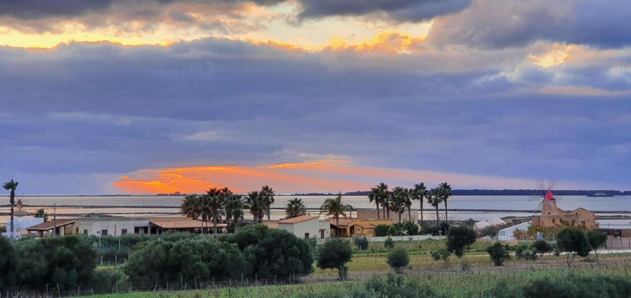 Martina's Vineyard - *