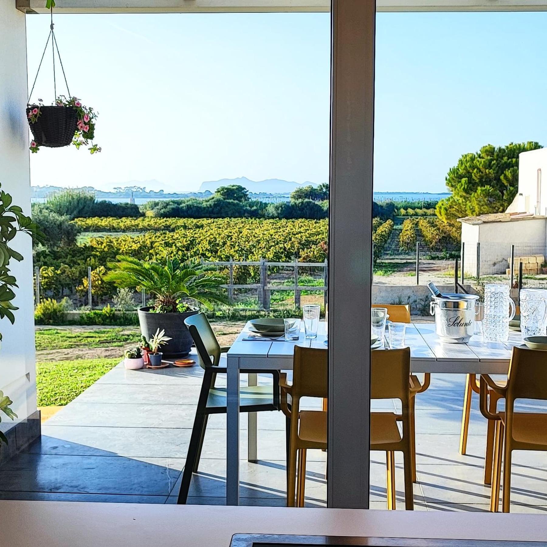 Villa Martina's Vineyard - Marsala