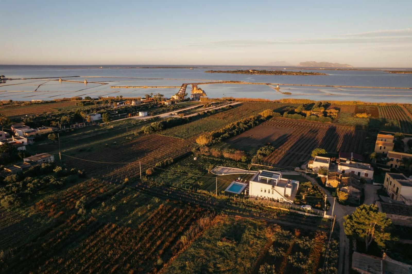 Martina's Vineyard - * Marsala