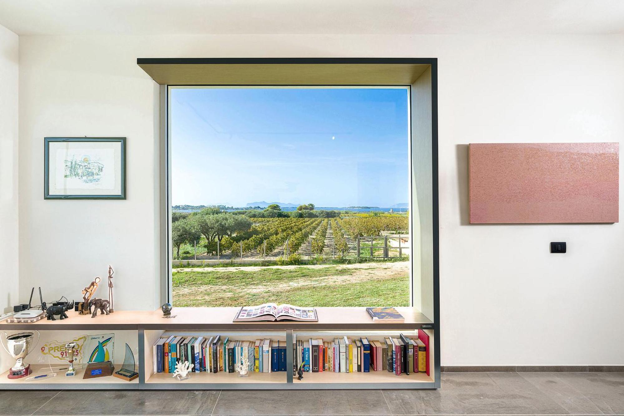 Villa Martina's Vineyard -